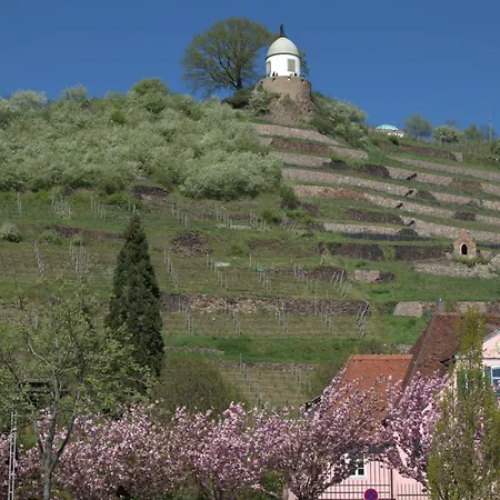 Suite-der-villa-elsa דרזדן