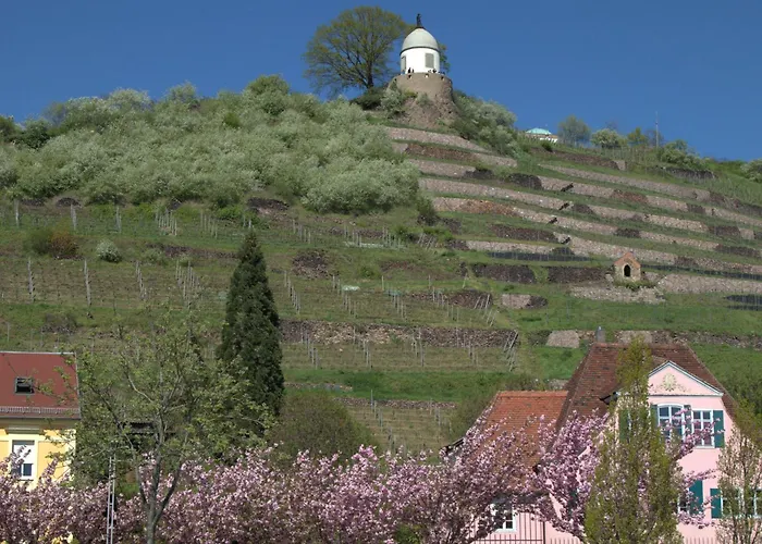 Suite-der-villa-elsa Dresden