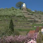 Suite-der-villa-elsa Dresden